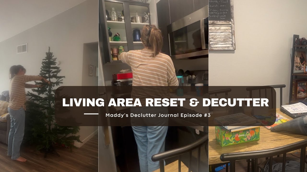 Living Room, kitchen and Dining Reset | DECLUTTERING JOURNAL EPISODES #3