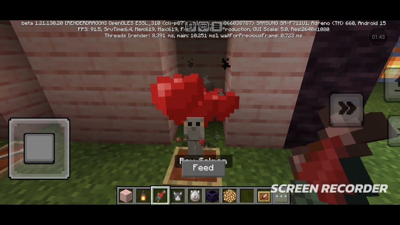 My pet (Dog And Cat) House.
