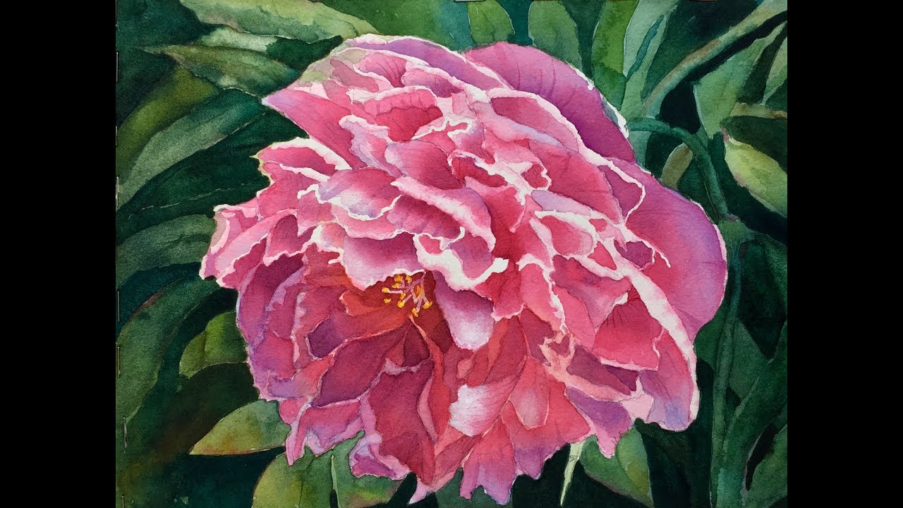 Part 6 Painting a Pink Peony  Details Details Details and Finish