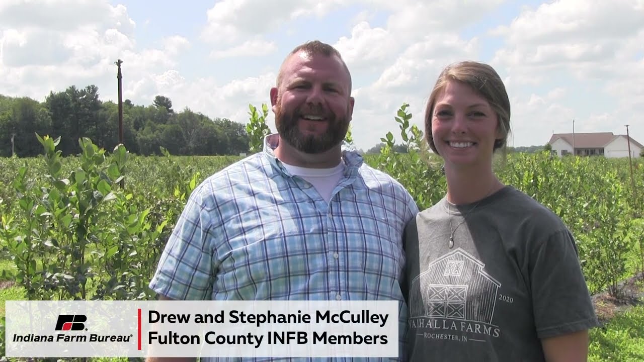 Indiana Blueberry Farm