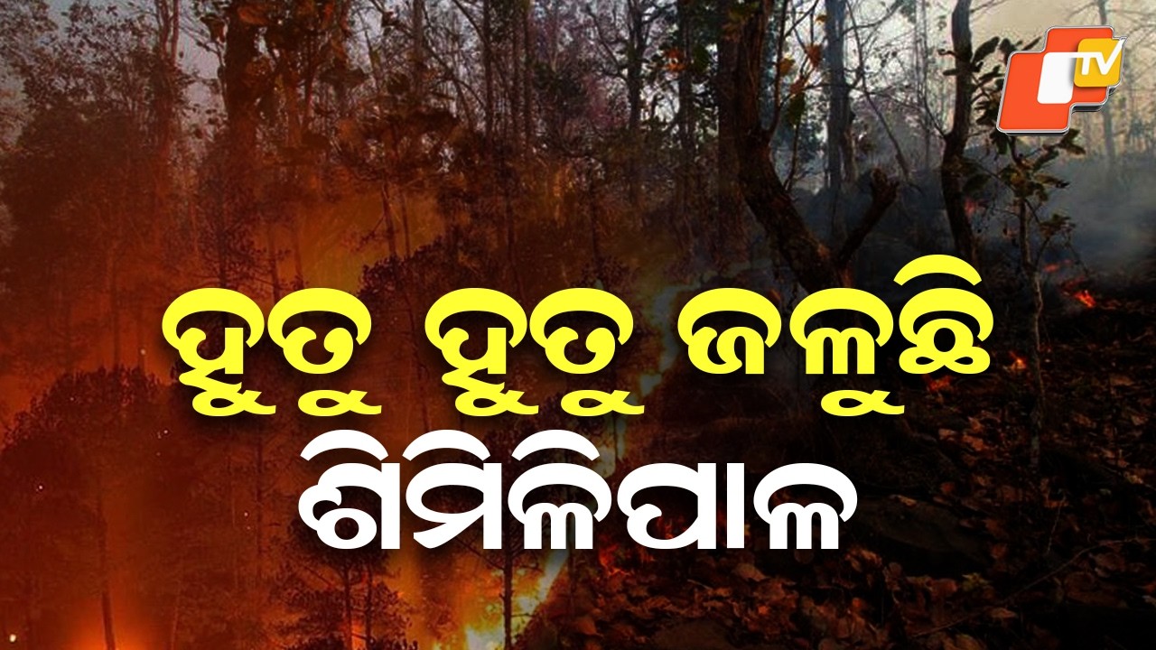 Massive Forest Fire Spreads Inside Similipal Tiger Reserve