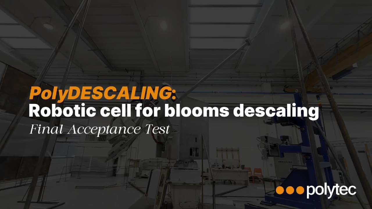 PolyDESCALING: Automatic scale cleaning system