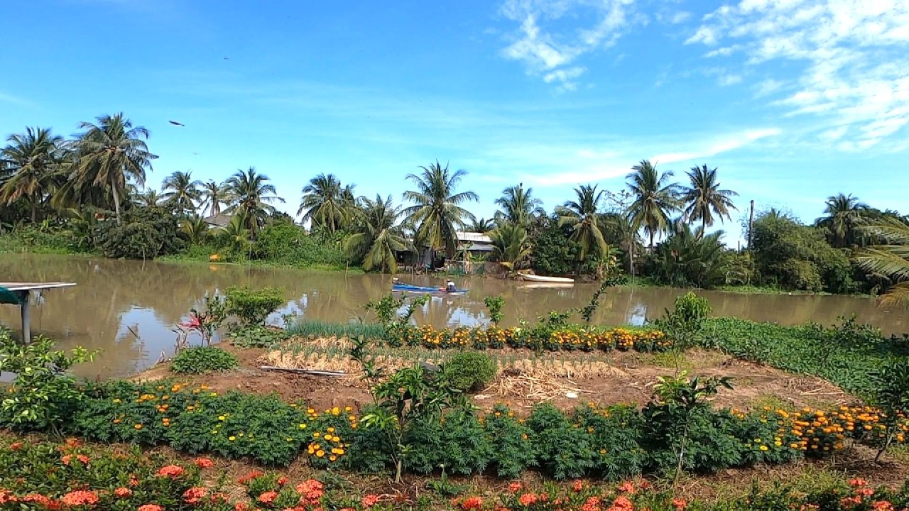 An amazing walk in the beautiful countryside of the Mekong delta in Tien Giang province, Vietnam