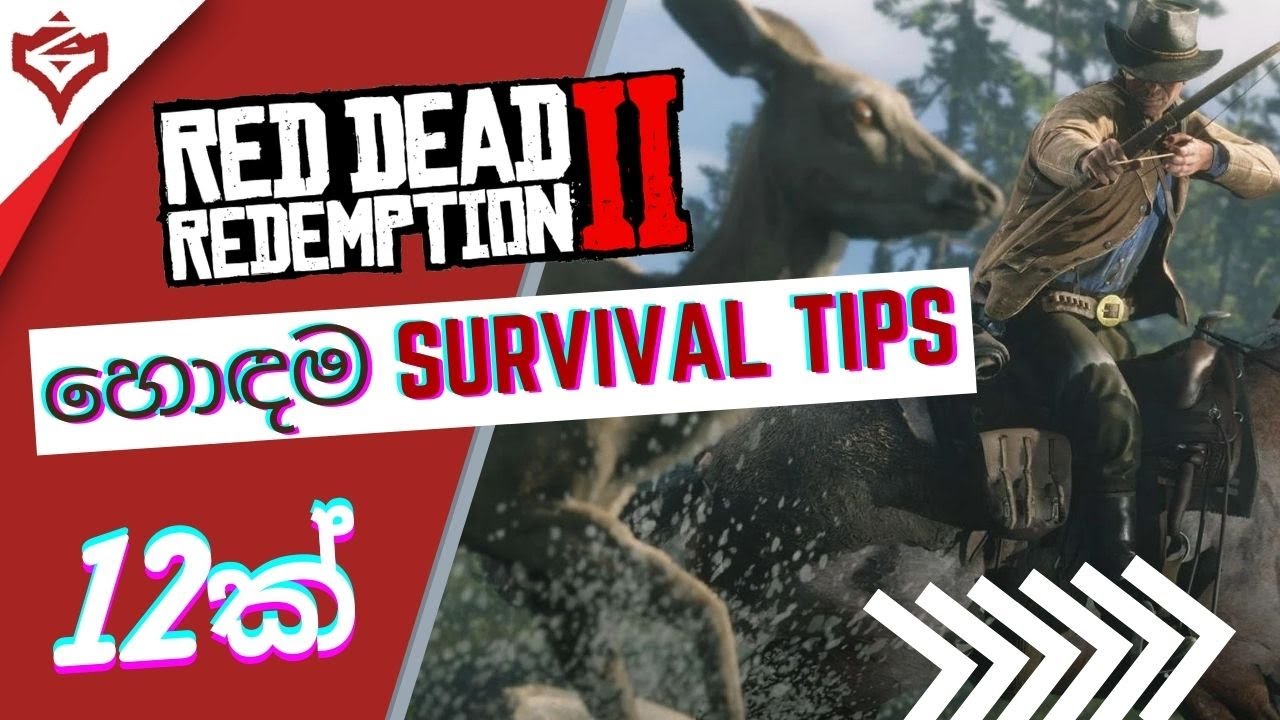 The ONLY ULTIMATE guide for Red Dead Redemption 2 in sinhala | SURVIVAL Tips (PART 2/4) | Ziscuit