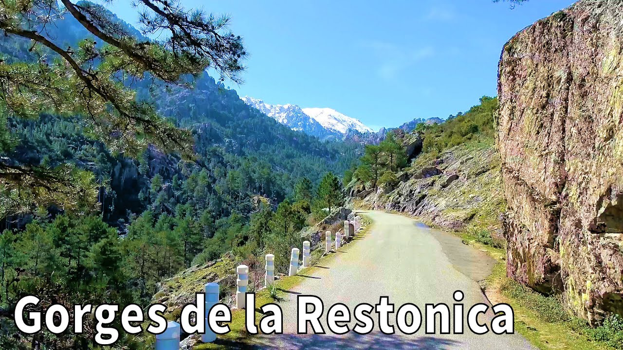 [4K] Gorges de la Restonica, Corsica — Scenic Valley Walk Near Corte (videoturysta.eu)