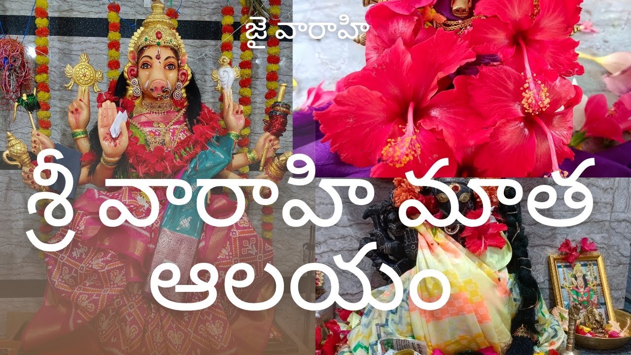 మల్లిపూడి వారాహి అమ్మ వారి ఆలయం#trending#వారాహినవరాత్రులు2025#varahi #వారాహి#varahinavarathrulu#2025