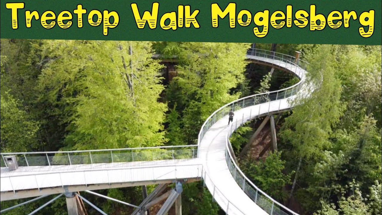 TreeTop Walk Mogelsberg