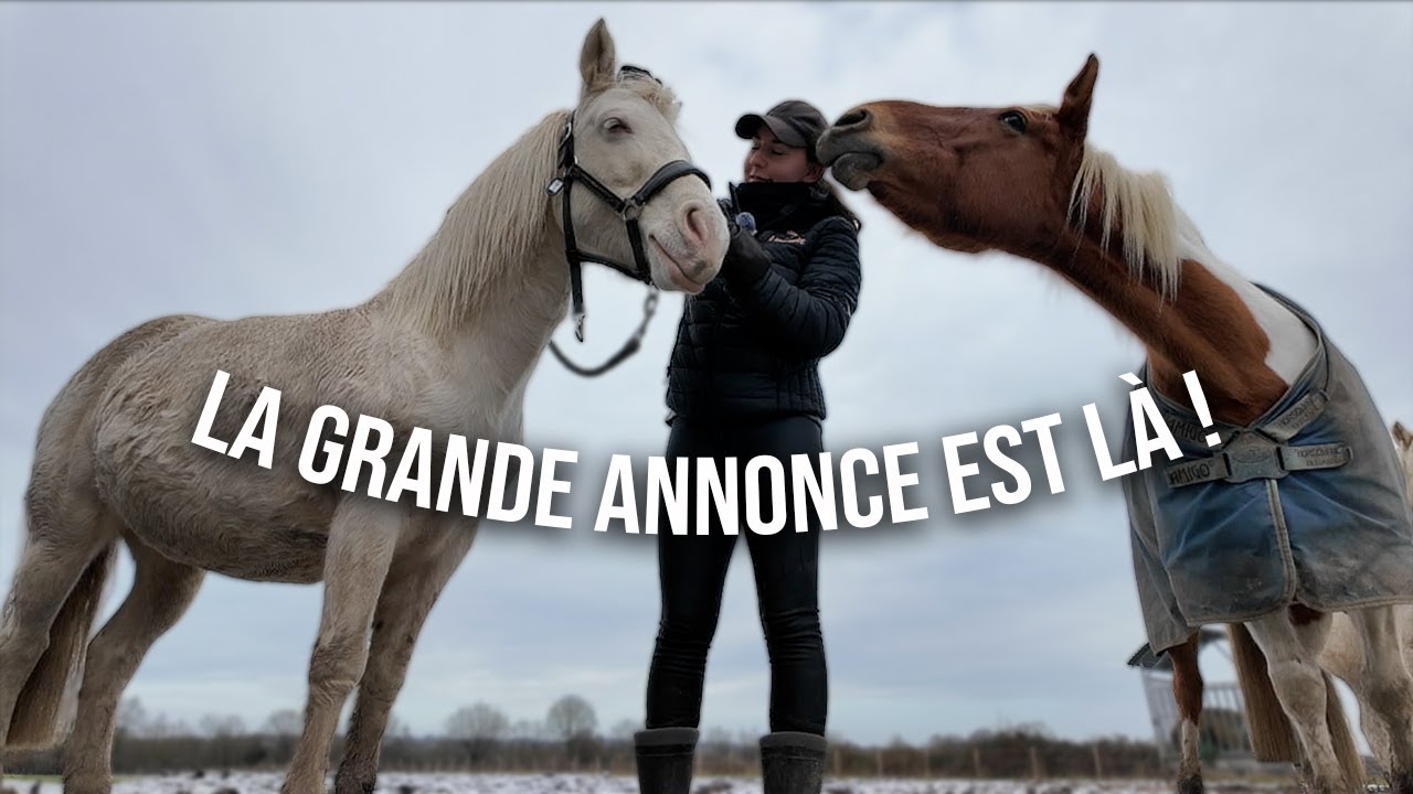 C'était sous nos yeux depuis le début... 👀