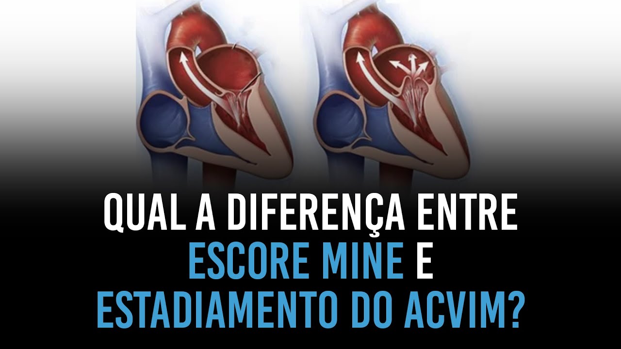 Qual a diferença entre o escore MINE e o estancamento da endocardiose segundo o ACVIM?