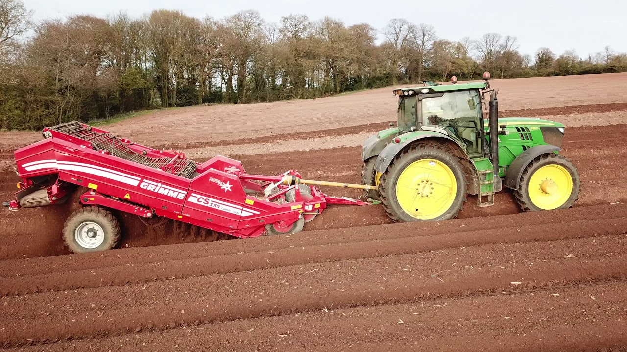 Potato planting 2019