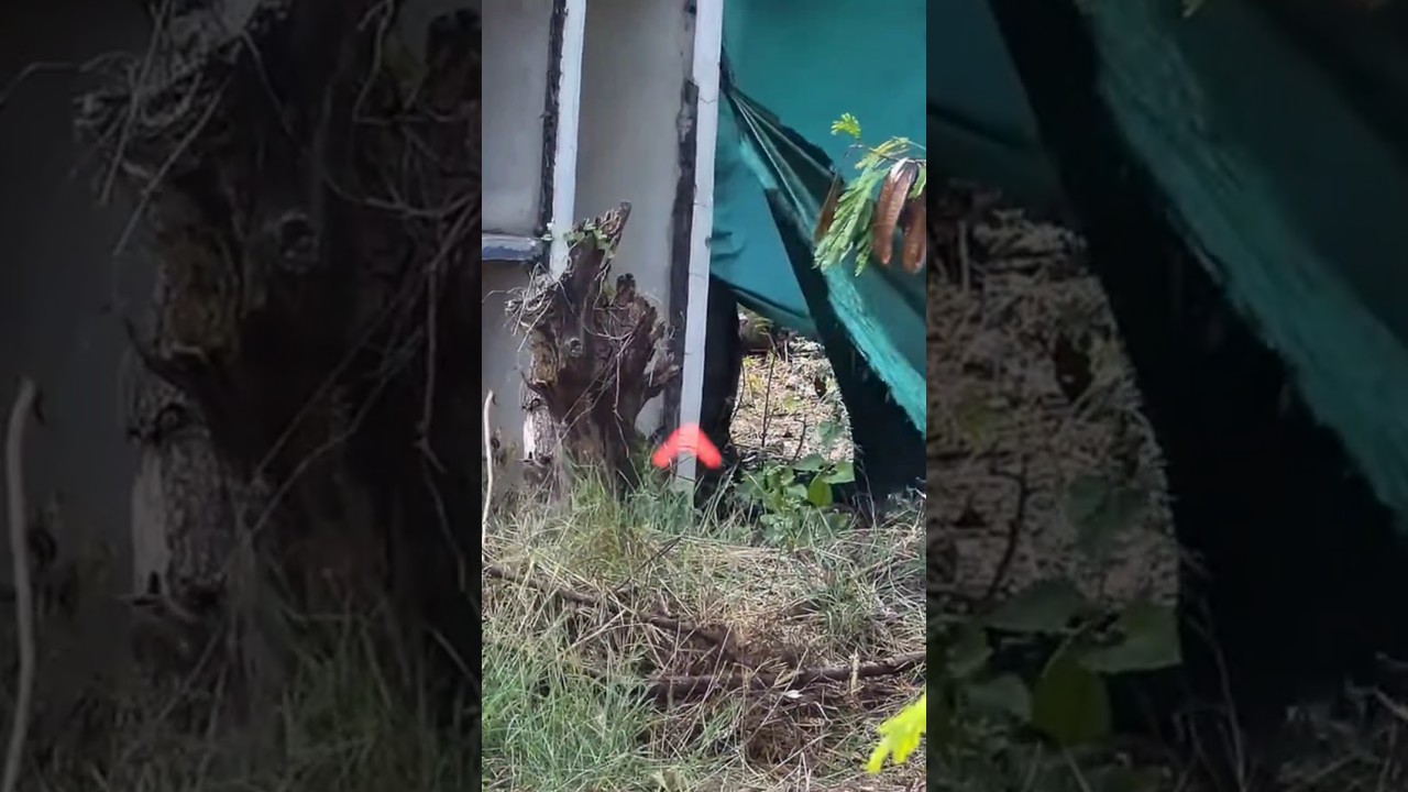 IS THAT A FOOT? ~ Airsoft Clip #airsoft #airsoftgun #airsoftshorts #airsoftonly