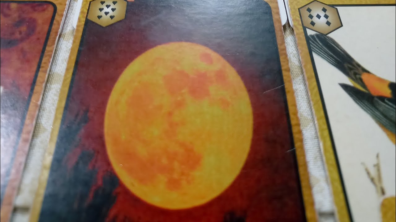 🔮O que está acontecendo na vida do ser luz?💖🌻