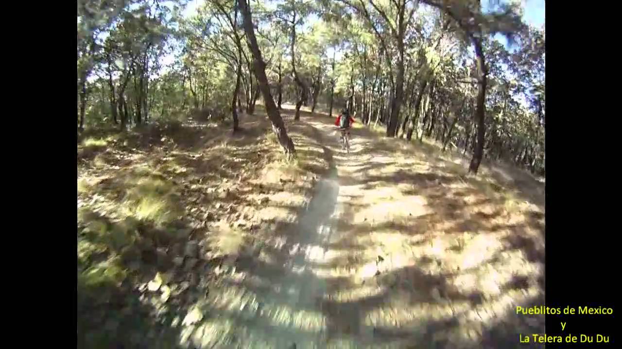 El bosque de la Primavera , toboganes , downhill , Jalisco , Mexico.