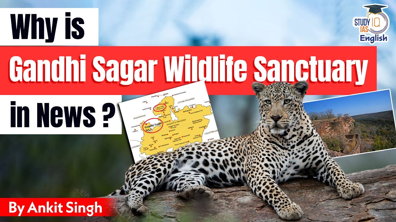 Why is Gandhi Sagar Wildlife Sanctuary in News? | StudyIQ IAS English