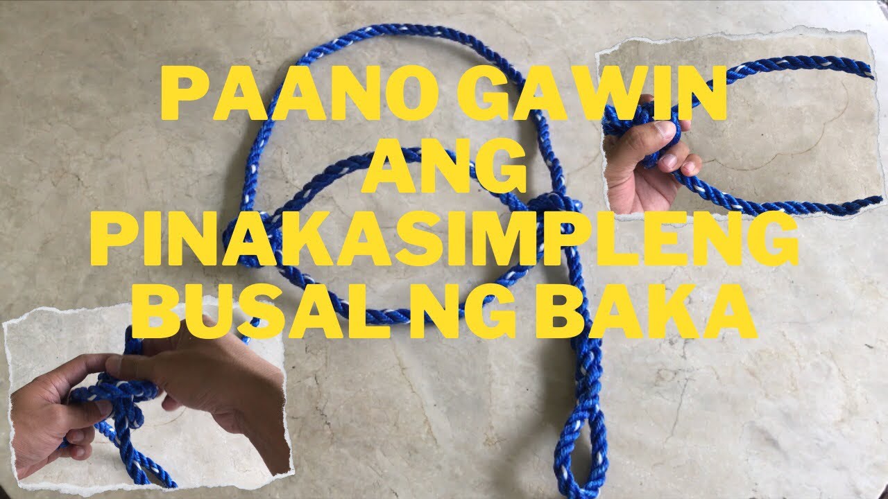 Paano Gawin Ang Pinaka Simpleng Busal ng Ating Mga Alagang Baka