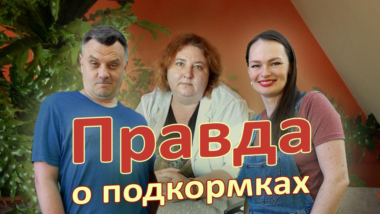 Секреты подкормок для сада и огорода