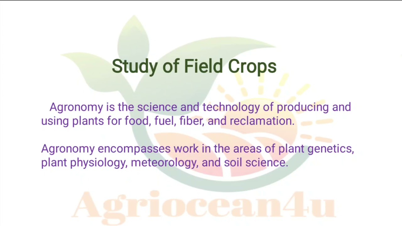 Study of Field Crops | Agriculture | Agronomy | #Agriocean4u