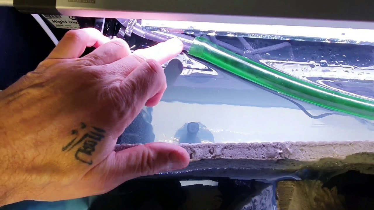 Oase Highline 400 Streamtank