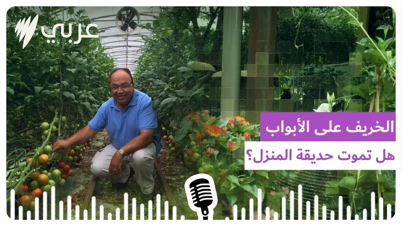 الخريف على الأبواب هل تموت حديقة المنزل؟ خبير زراعي يشرح | SBS Arabic - أس بي أس عربي