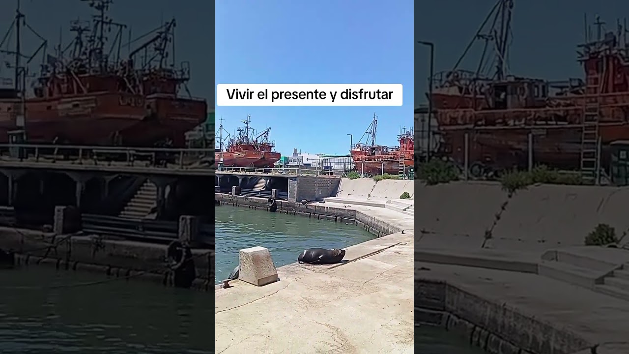 Hoy te  invito a ser feliz 😀❤️