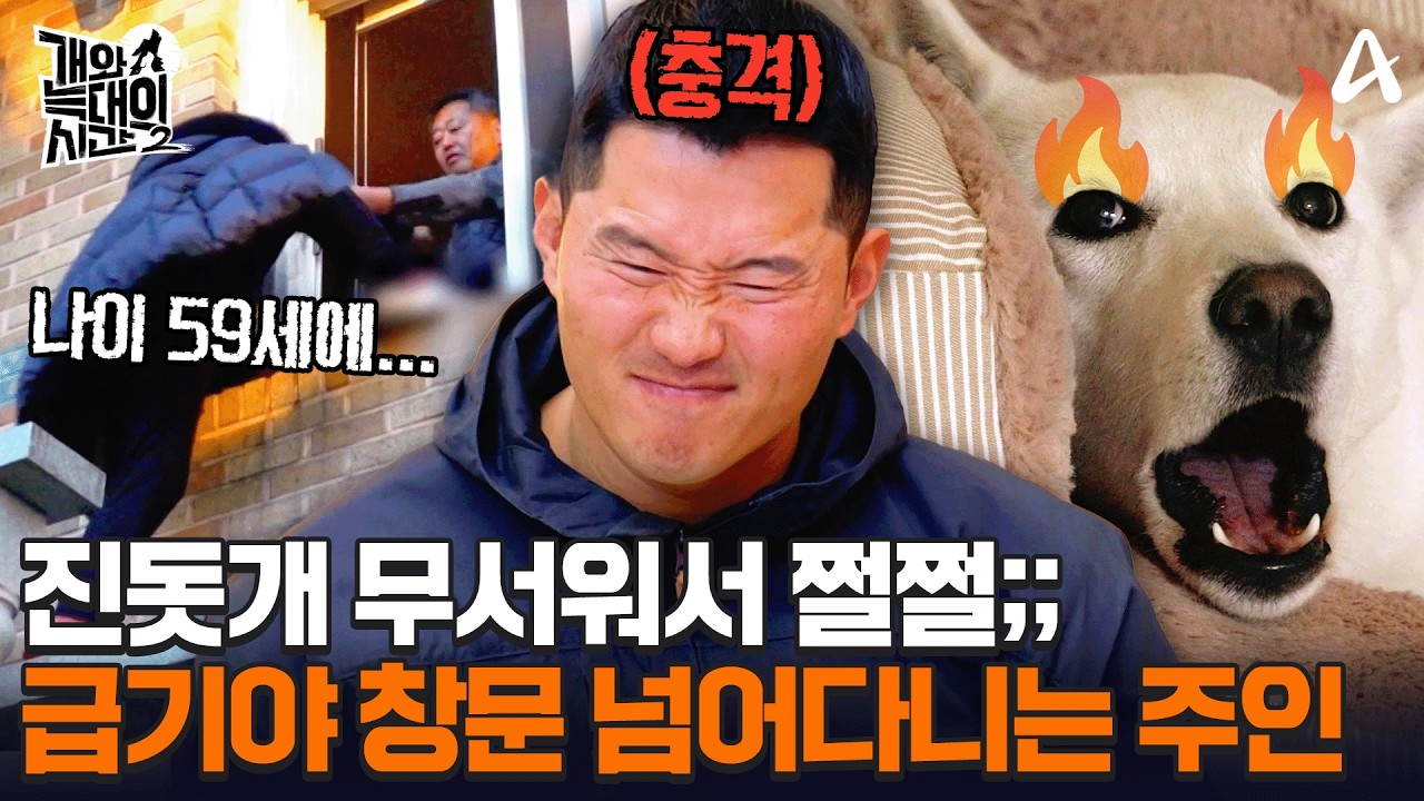 개가 상전이 따로 없네😱 집 들어갈 때도 진돗개 허락 없인 못 들어가는 가족💦ㅣ개와 늑대의 시간2