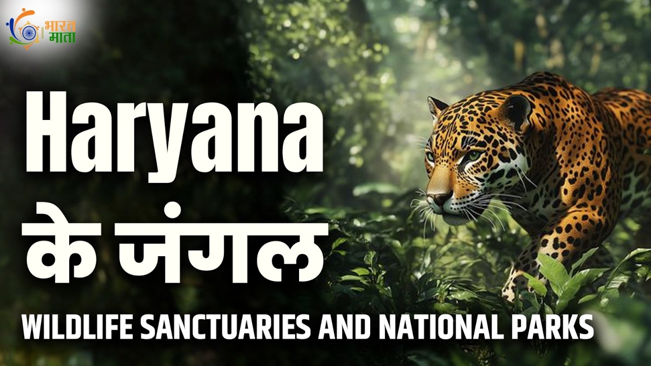 Haryana के 10 वन्यजीव अभयारण्य | 320 पक्षी प्रजातियाँ | साइबेरियन क्रेन | Delhi से 46 km
