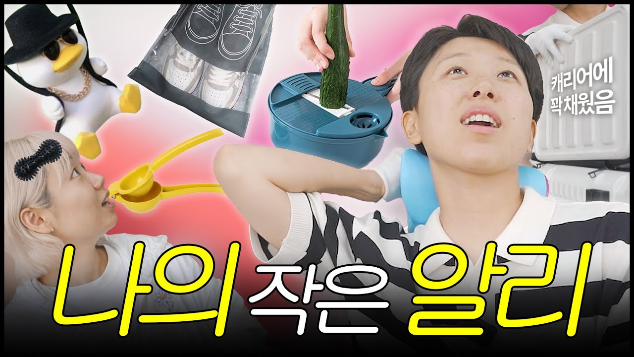 도파민 중독 알리 엠버서더의 쓰잘데기 콜렉숀