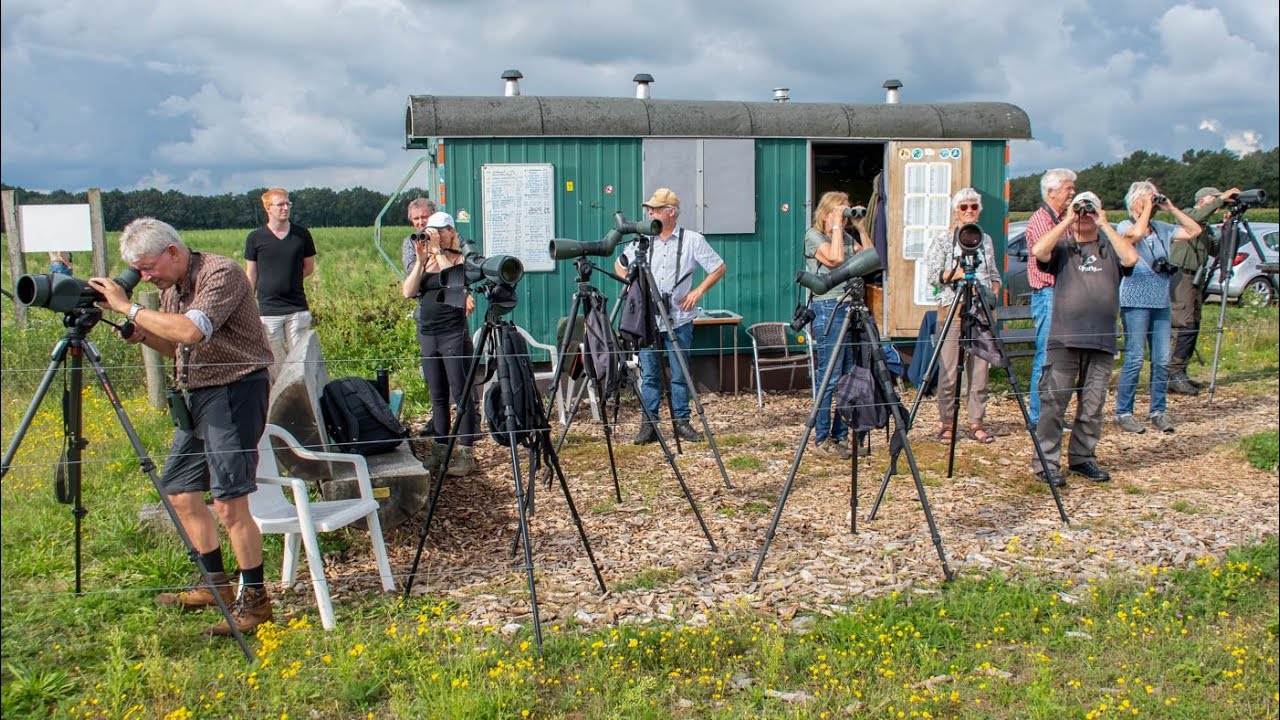 Week 8 -2023 op Telpost Brobbelbies Noord