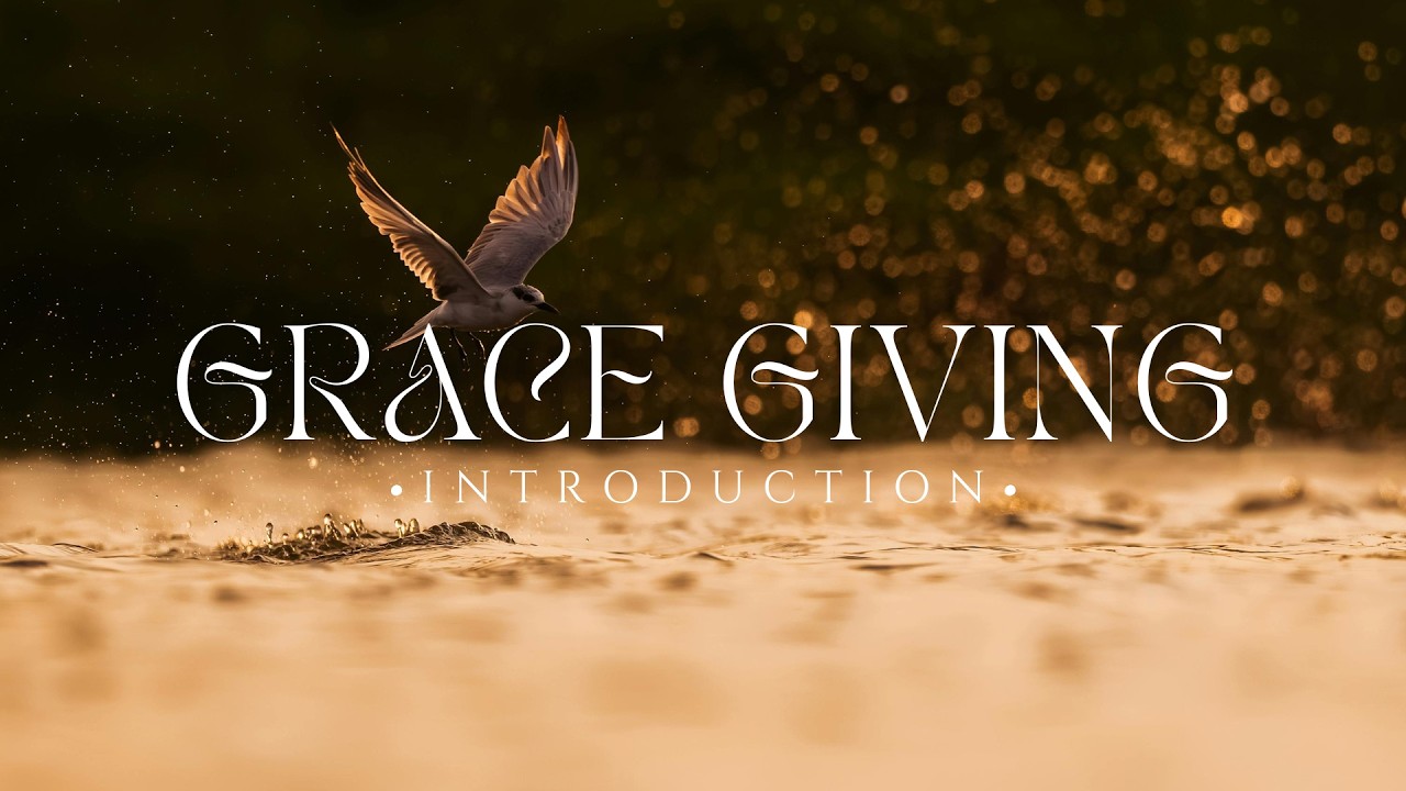 Grace Giving