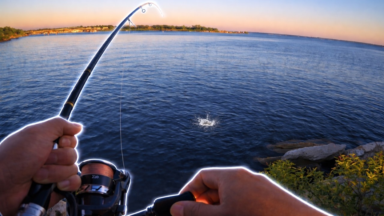 Fishing For White Bass & Catfish at this Texas Lake | Morning Catch & Release