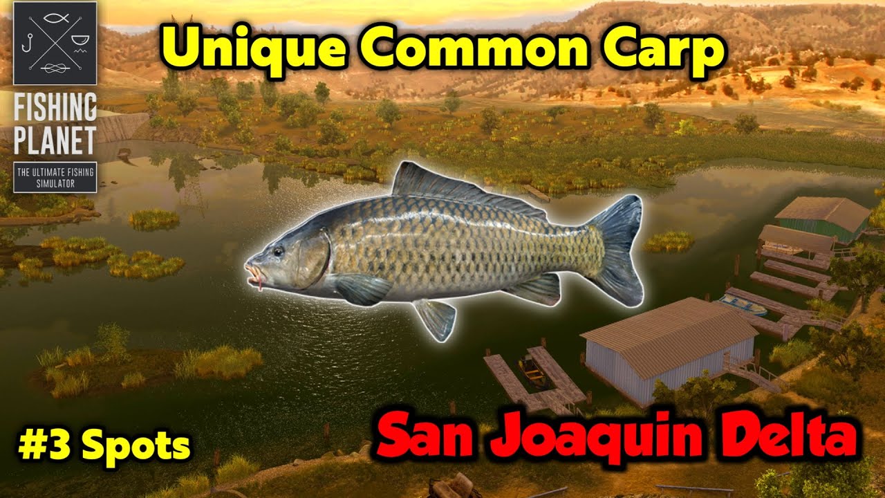 Unique Common Carp San Joaquin Delta - Fishing Planet