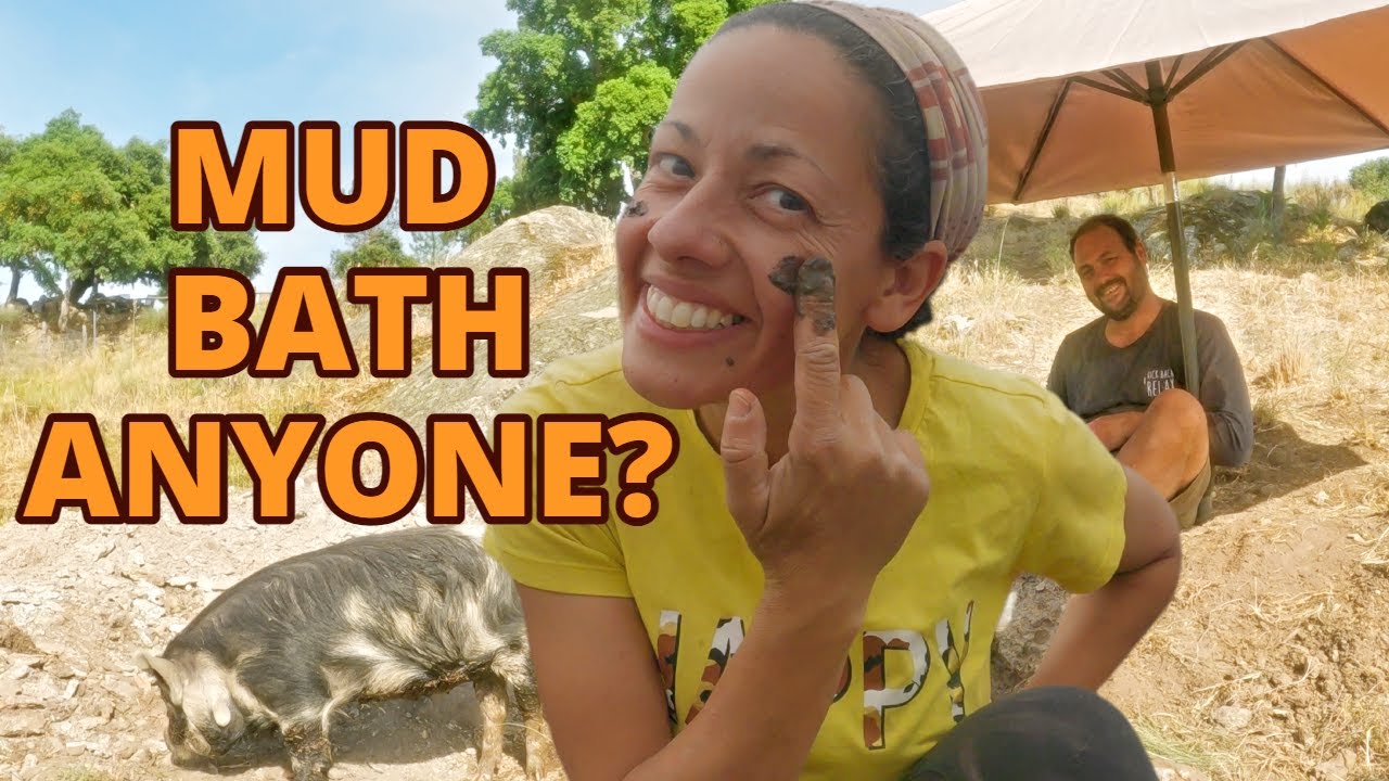 Выкапывание курорта для свиней из твердой скалы