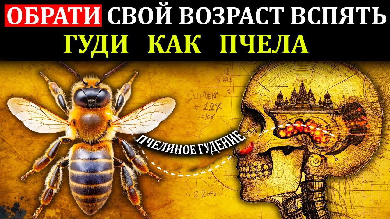 Как обратить старение вспять с помощью одного древнего звука