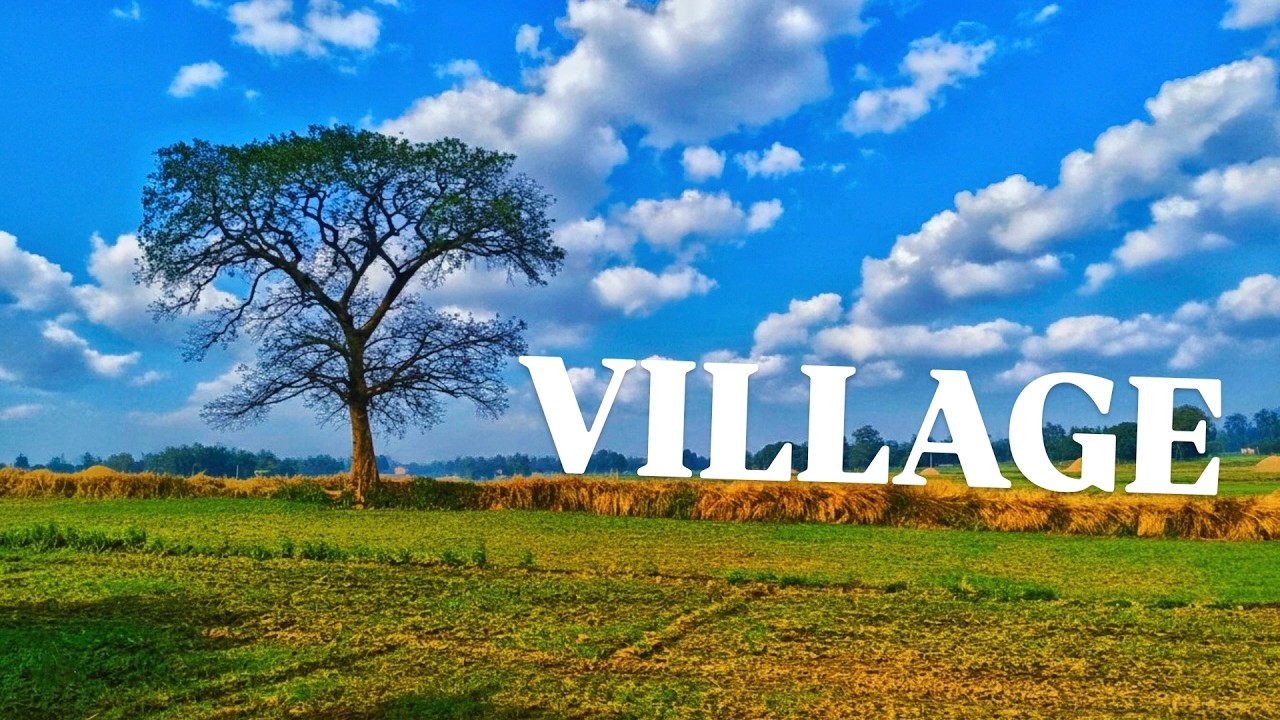 VILLAGE || A Short Peaceful Scene of Fields & Trees. V.N 8