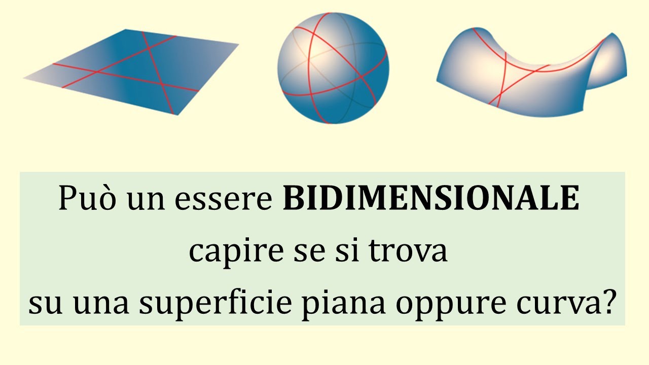 Geometrie non euclidee