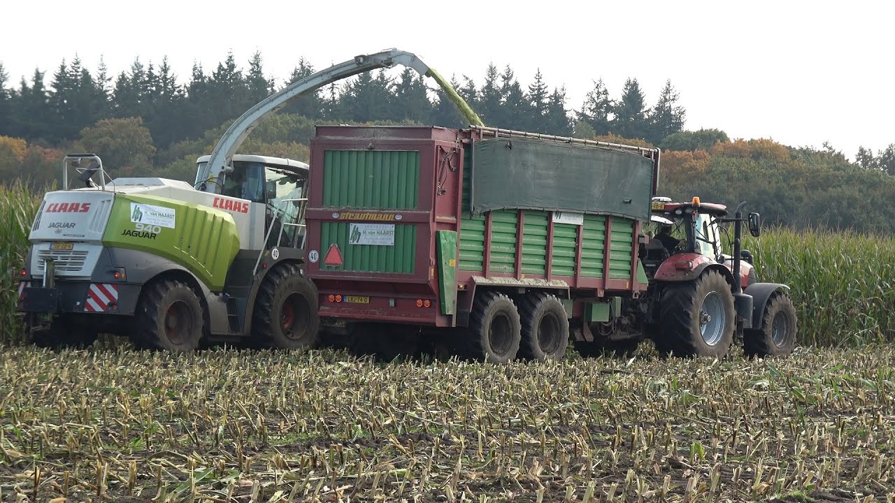 Mais hakselen door loonbedrijf H van Haarst met Claas Jaguar 940 en 2 Case IH Puma trekkers (2024)