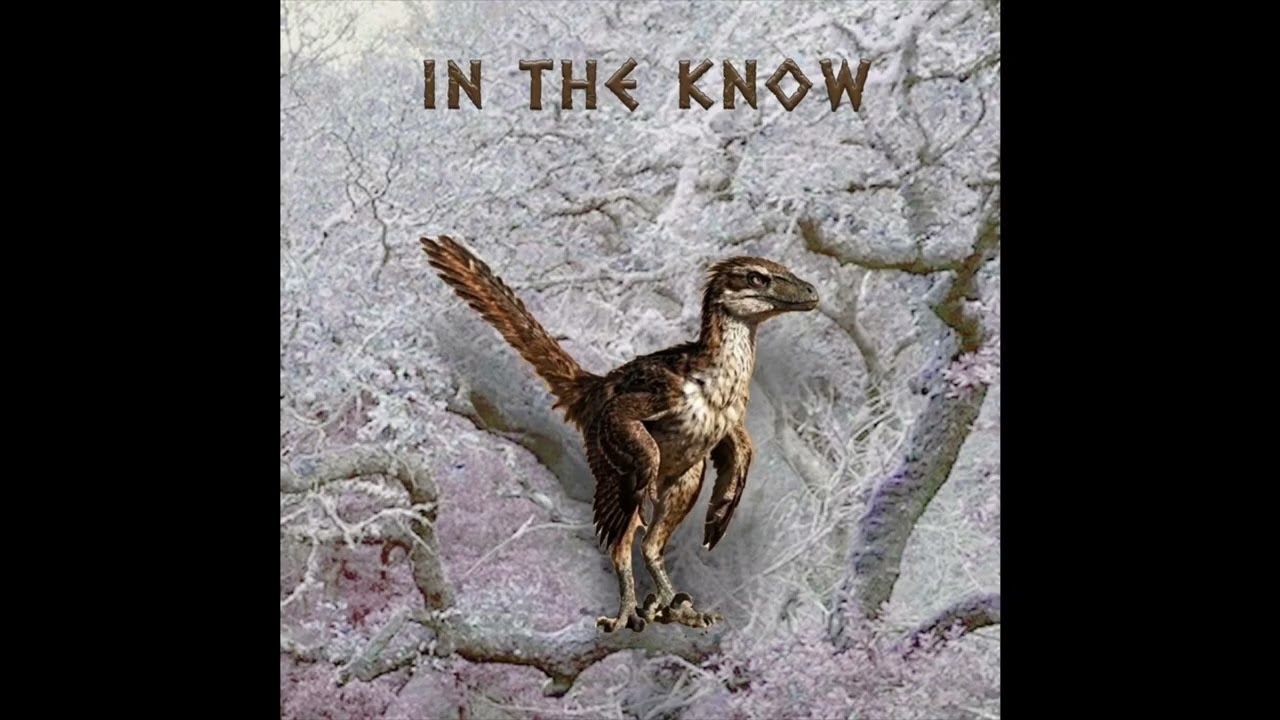 DEINONYCHUS SLOW IN THE KNOW - ATM BEAT