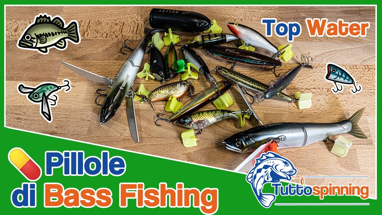 Le esche TOP WATER per la pesca al BLACK BASS 💊 Pillole di Bass Fishing