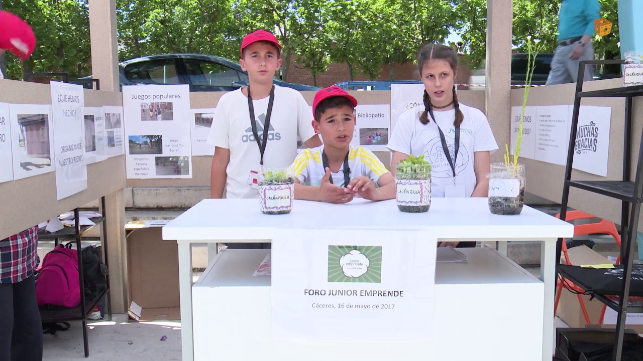 RECICL ARTE   CEIP Virgen del Pilar