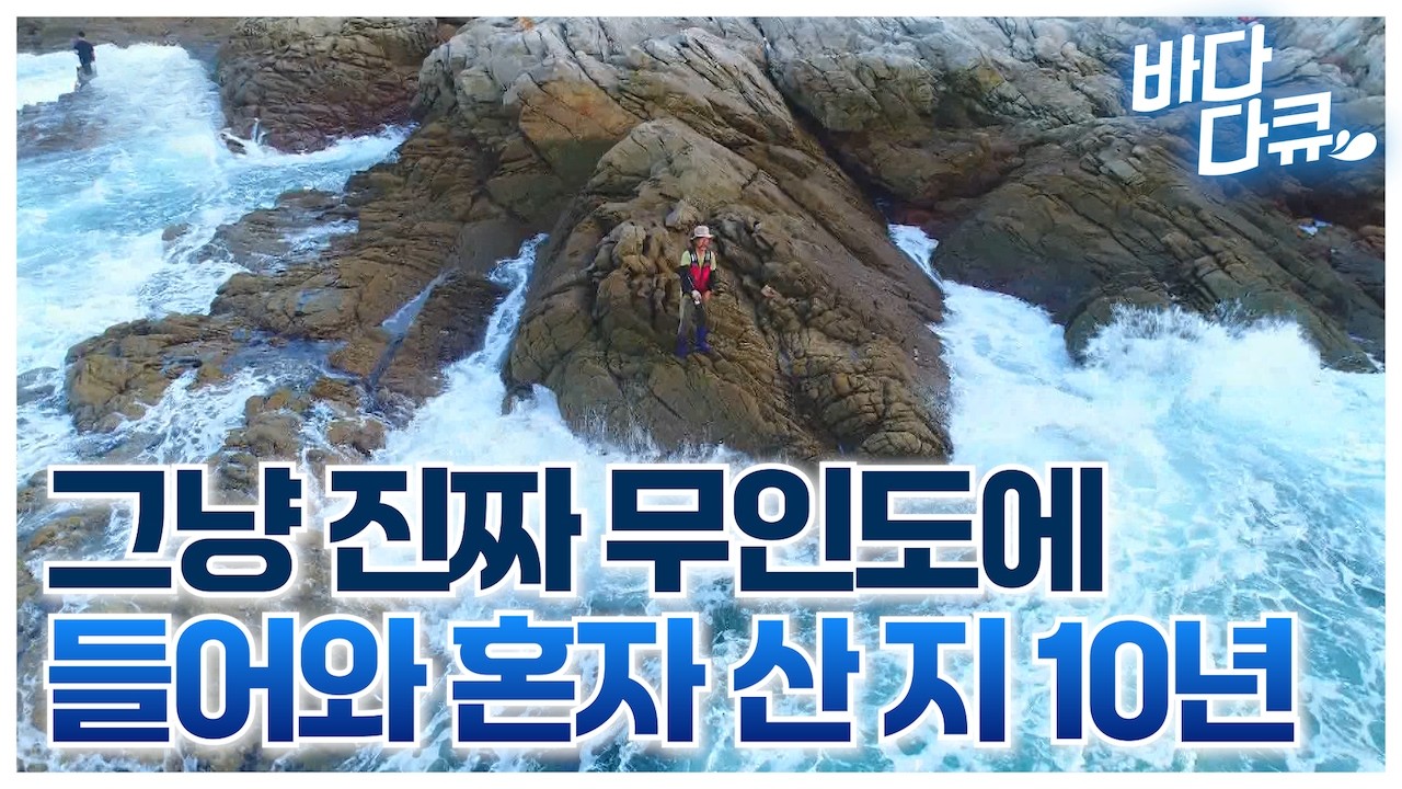 햐루하루가 생존인 물도 전기도 없는 진짜 무인도에서 10년 조카가 놀러 온다고 해서 물고기 꺼내 먹으려고 합니다 / #바다다큐
