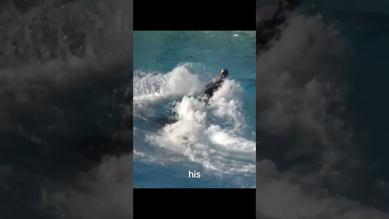 Tilikum: The Killer Whale That Shouldn&rsquo;t Have Been in a Pool 🐋⚠️