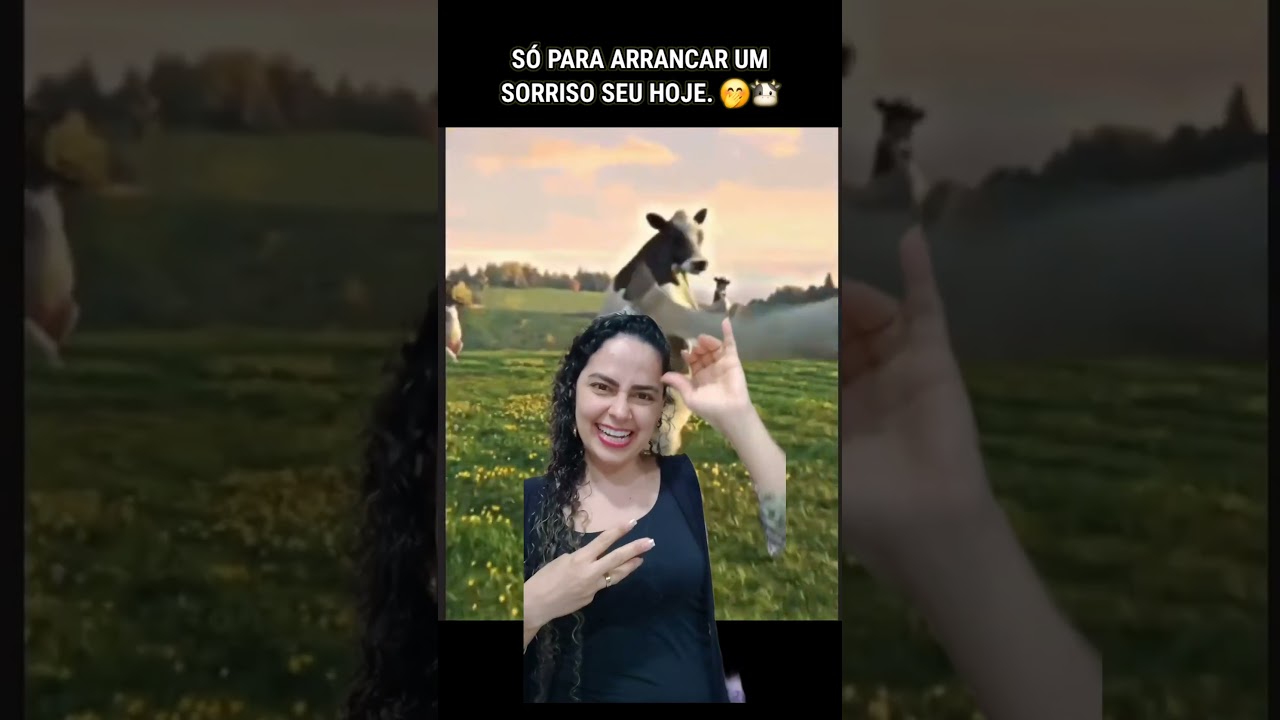 Tinha 8 vaquinhas... Vaca H - Libras
