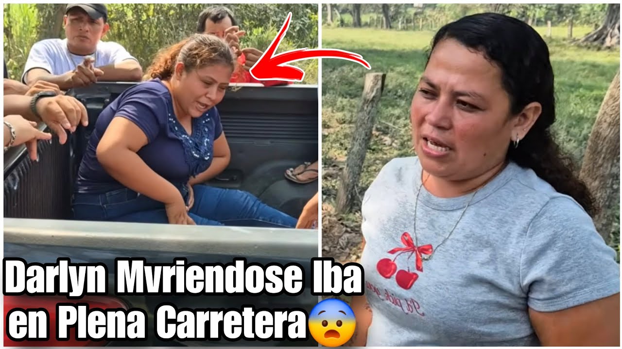 Esa darlyn bien paj3ra solo para no ir al dentista y quedarse con el pisto lo hace dijo celia