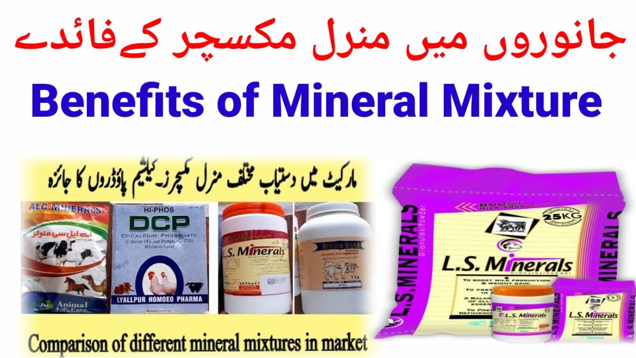 Mineral mixture benefits in animal | L S mineral | Vito mineral T | Feed Plus
