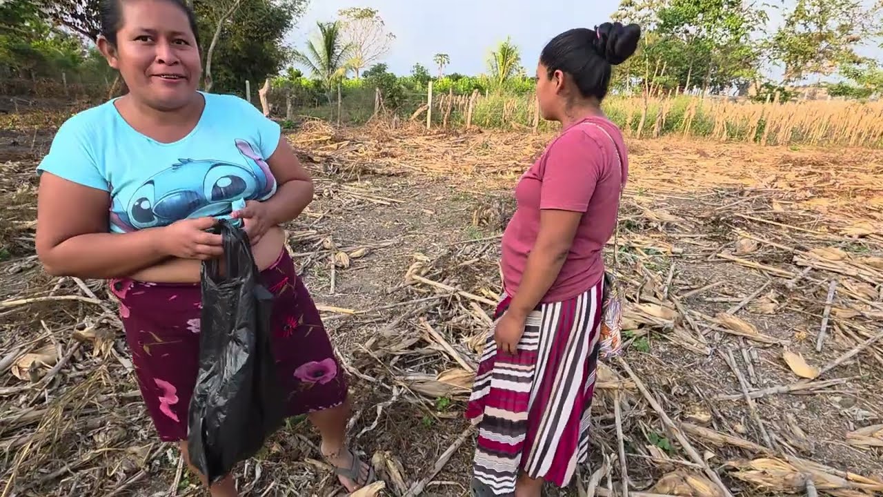 Mujer de Cushin buscando hierba mora. 
