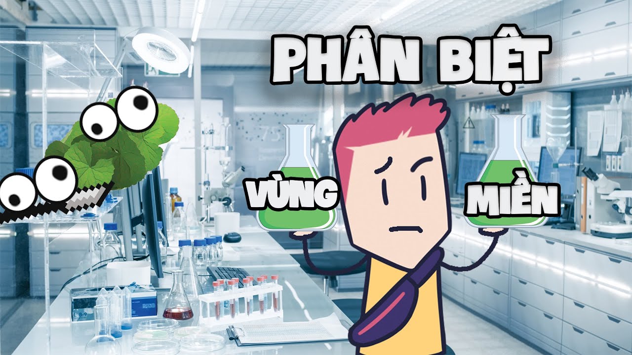 Đơn Giản Hóa #43: Phân biệt vùng miền