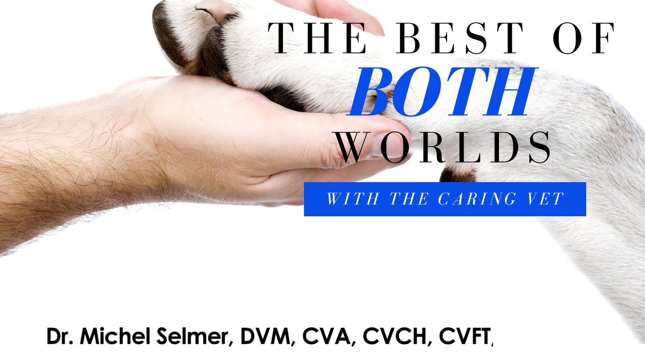 The Caring Vet Approach to Dog Paralysis