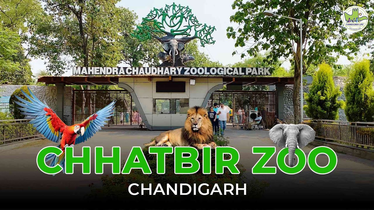 Chhatbir Zoo in Chandigarh, Ticket price, Location, Zirakpur | Vlog | Dinosaur park | Full Tour