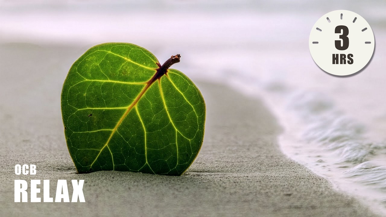 Morning Relaxing Music - Positive Feelings, Energy, Meditation, Massage (Kelly)