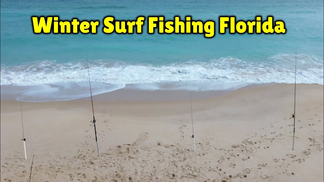 Multi-species Surf Fishing Florida in the Winter (Whiting, Bluefish, Sheepshead, etc.)